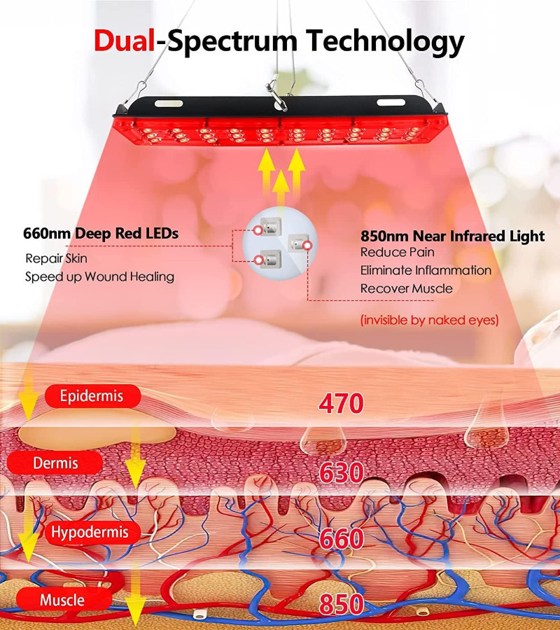 アスタレキシン赤色光療法ランプ、660nm＆850nm赤外線 - Red Light Therapy Torch 660Nm のレビューと価格