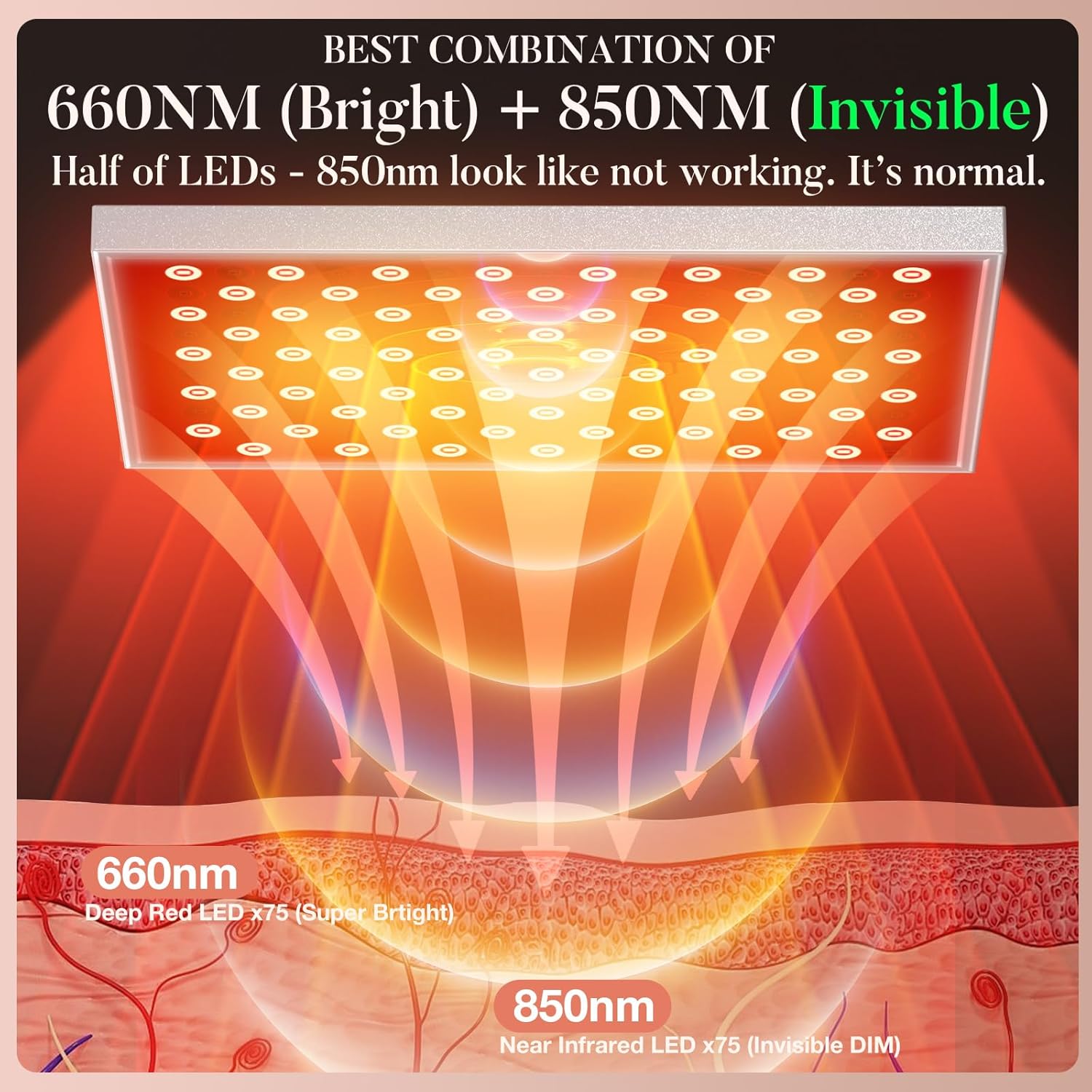 赤色光療法ボディ用赤外線ライトセラピーパネルランプ（スタンド - Red Light Therapy Torch 660Nm のレビューと価格